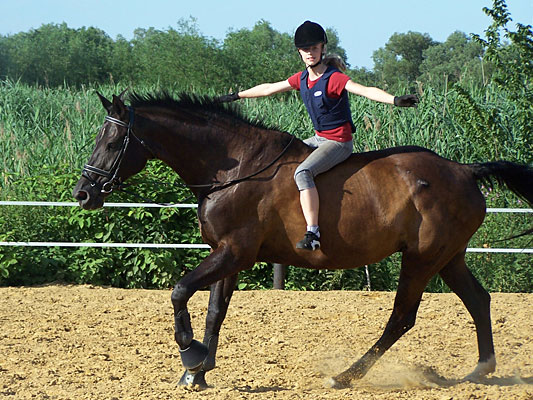 Gleichgewichtsübung im Galopp