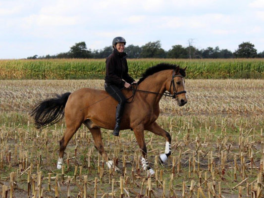 Mein Pony-Schatz und ich unterwegs im Stoppelfeld