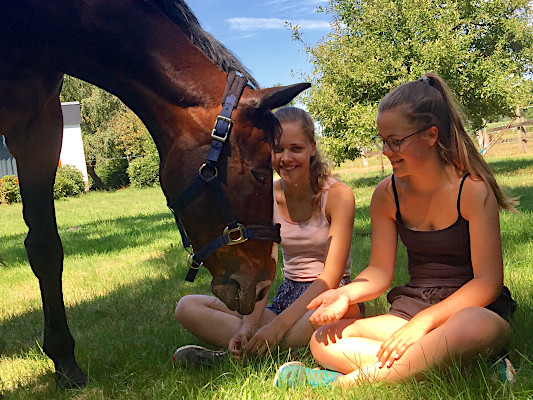 Picknick mit Rentner »Reality« ❤️