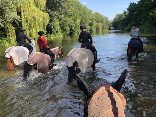 Urlaub mit den Pferden in der Heide