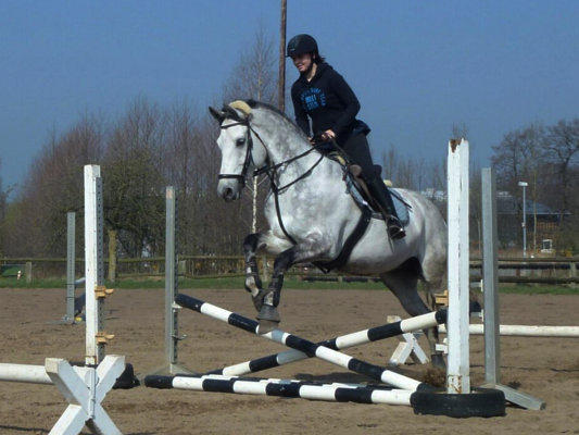 Tessa und Chico bei der Springgymnastik