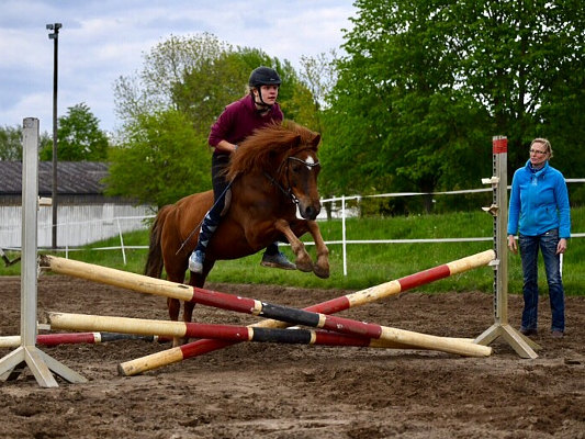 Junior mit Martha beim Springen