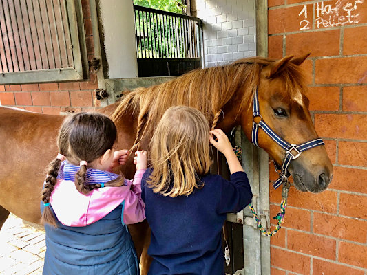 Unsere Kleinsten beim Kinder-Lehrgang