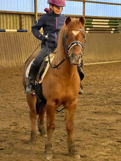 Junior, unser kleiner »Checker«