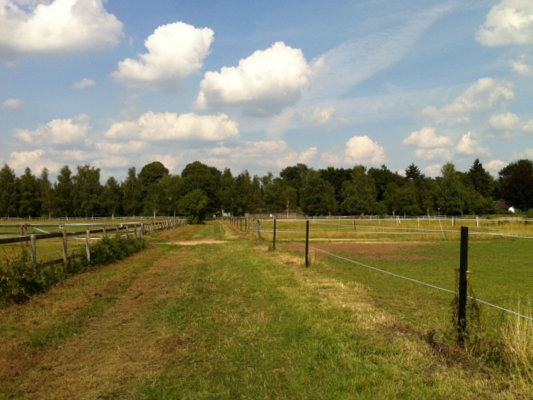 Blick auf die Weiden